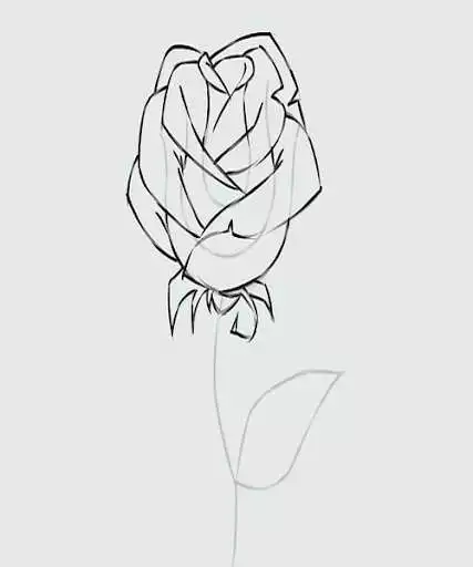 Play How to Draw Flowers Step by Step