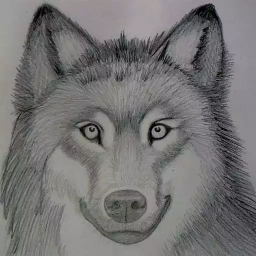 Play How to draw wolves APK