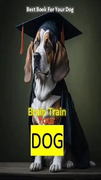 Play How To Train Your Dog  and enjoy How To Train Your Dog with UptoPlay