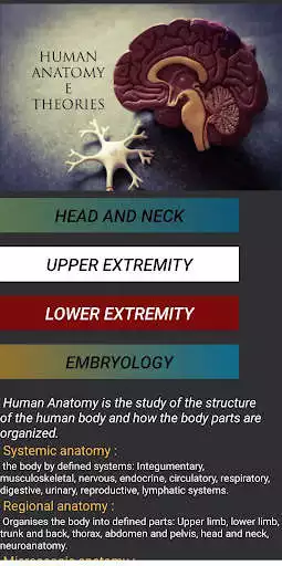 Play Human Anatomy E Theories  and enjoy Human Anatomy E Theories with UptoPlay