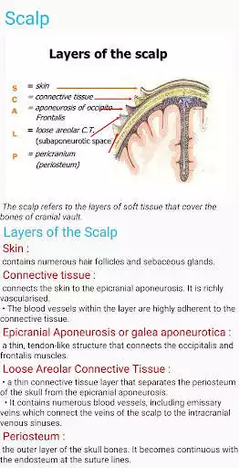 Play Human Anatomy E Theories as an online game Human Anatomy E Theories with UptoPlay