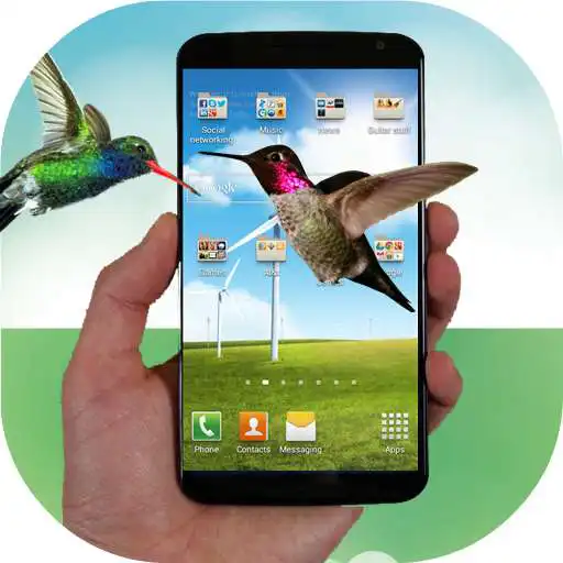 Free play online Hummingbird fly in phone prank  APK