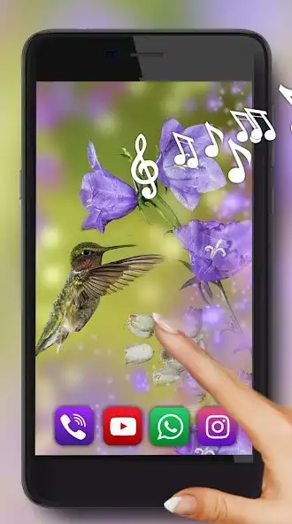 Play Humming Bird HD Live Wallpaper  and enjoy Humming Bird HD Live Wallpaper with UptoPlay