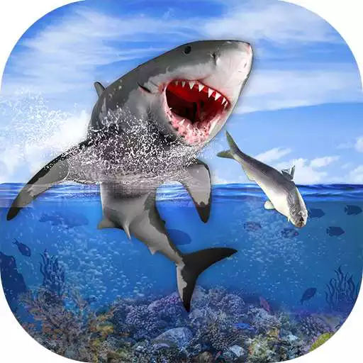 Play Hungry Crazy Shark Jaws Games - World Evolution APK