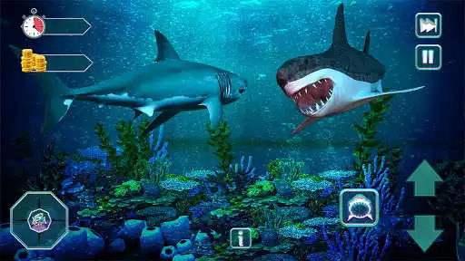 Play Hungry Crazy Shark Jaws Games - World Evolution  and enjoy Hungry Crazy Shark Jaws Games - World Evolution with UptoPlay