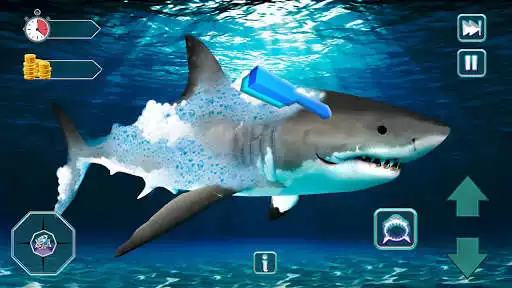 Play Hungry Crazy Shark Jaws Games - World Evolution as an online game Hungry Crazy Shark Jaws Games - World Evolution with UptoPlay