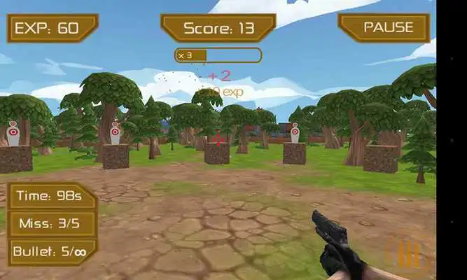 Play Hunter Animal 3D 2017