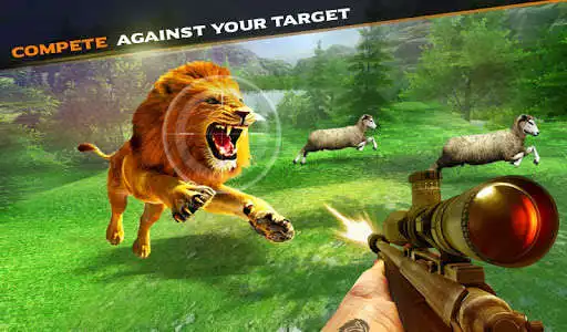 Play Hunting Animal Sniper Shoot - Safari Lion Hunter