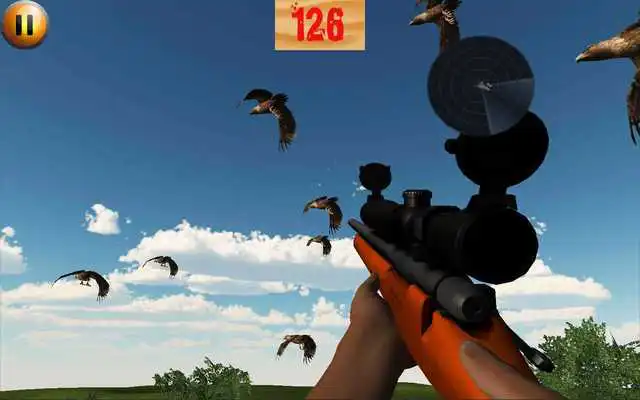 Play Hunting Birds In Desert