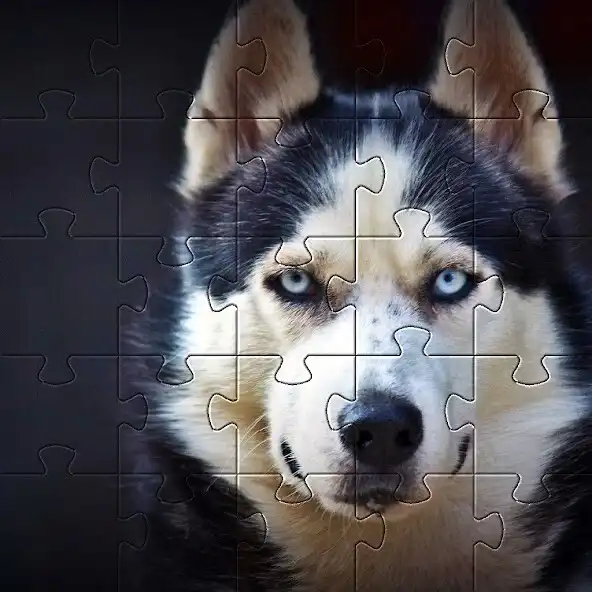 Play Huskies Dog Jigsaw Puzzle Game as an online game Huskies Dog Jigsaw Puzzle Game with UptoPlay