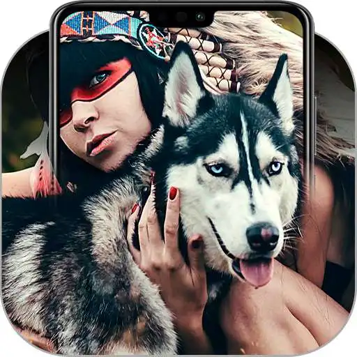 Run free android online Husky Wallpapers APK