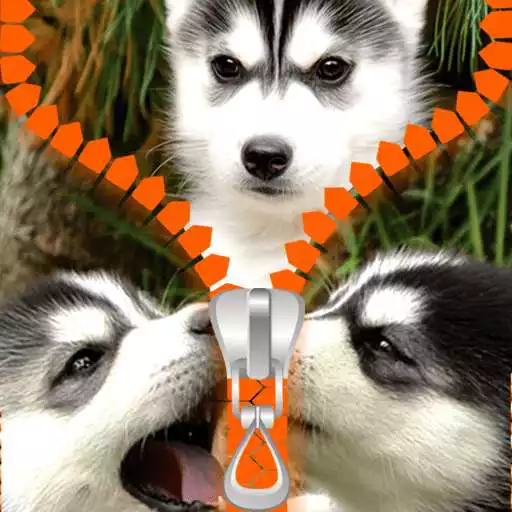 Free play online Husky Zipper Lock Screen  APK