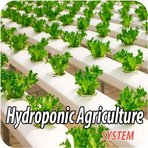 Play Hydroponic Agriculture System APK