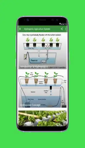 Play Hydroponic Agriculture System  and enjoy Hydroponic Agriculture System with UptoPlay