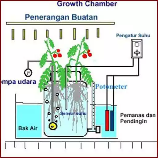 Play hydroponic technique  and enjoy hydroponic technique with UptoPlay