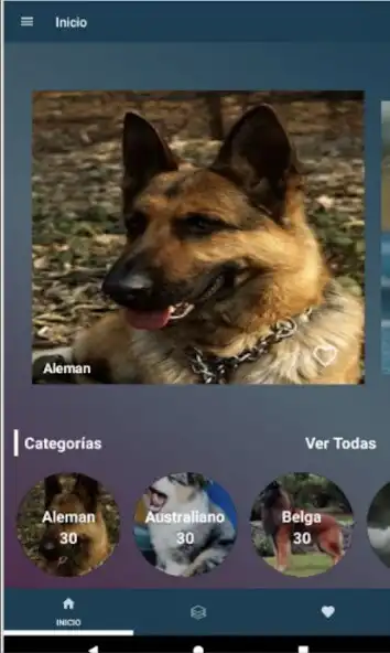 Play Imágenes de Perros Pastores  and enjoy Imágenes de Perros Pastores with UptoPlay