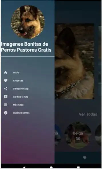 Play Imágenes de Perros Pastores as an online game Imágenes de Perros Pastores with UptoPlay