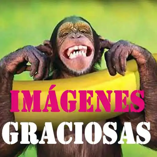 Free play online Imágenes Graciosas Photoshop  APK