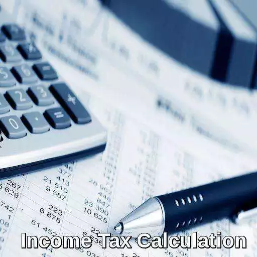 Run free android online Income Tax Calculator - India APK