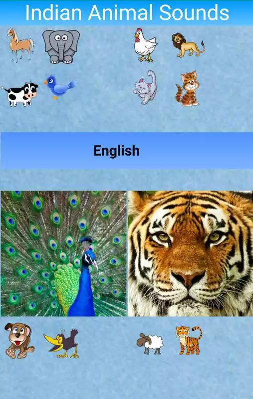 Play Indian Animal Sounds