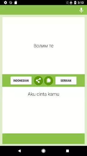 Play Indonesian Serbian Translator as an online game Indonesian Serbian Translator with UptoPlay