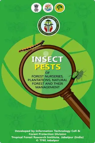 Play Insect Pests of Tropical Forest  and enjoy Insect Pests of Tropical Forest with UptoPlay