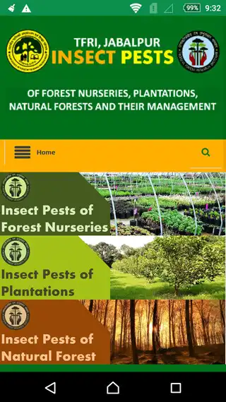 Play Insect Pests of Tropical Forest as an online game Insect Pests of Tropical Forest with UptoPlay