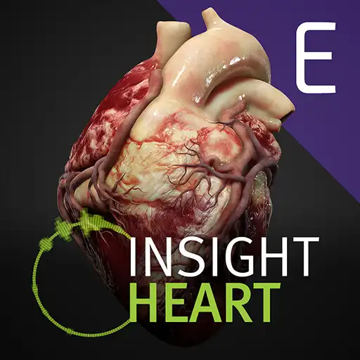 Play INSIGHT HEART Enterprise APK