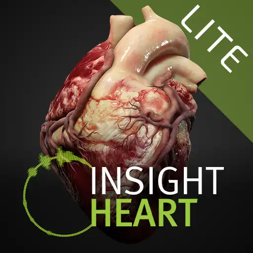 Play INSIGHT HEART Lite APK