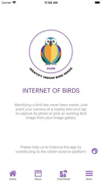 Play Internet of Birds  and enjoy Internet of Birds with UptoPlay