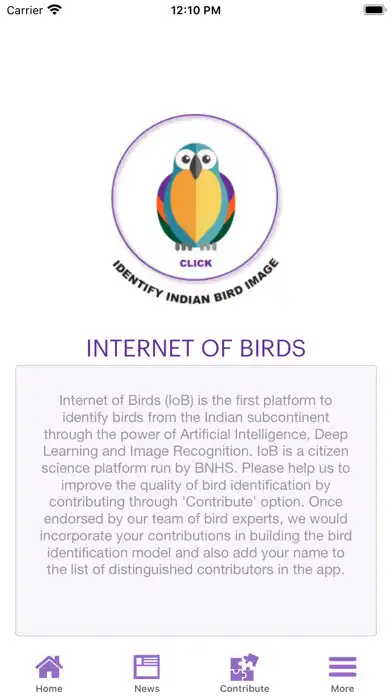 Play Internet of Birds as an online game Internet of Birds with UptoPlay