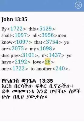 Play Iota Amharic Bible