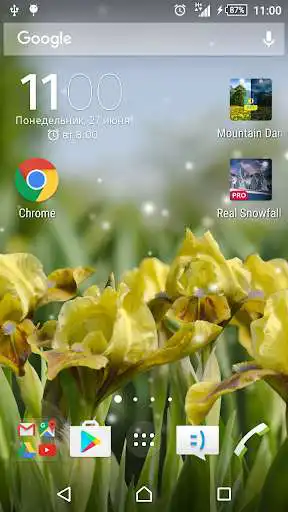 Play Iris Flowers Live Wallpaper FREE