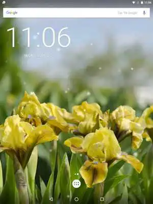 Play Iris Flowers Live Wallpaper FREE