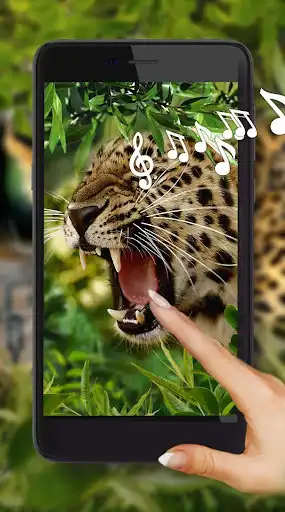 Play Jaguars Live Wallpaper  and enjoy Jaguars Live Wallpaper with UptoPlay