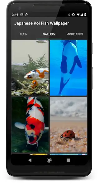 Play Japanese Koi Fish Wallpaper as an online game Japanese Koi Fish Wallpaper with UptoPlay