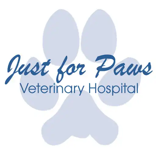 Play JFP Vet Hospital APK