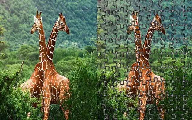 Play Jigsaw Wild Animals Puzzle