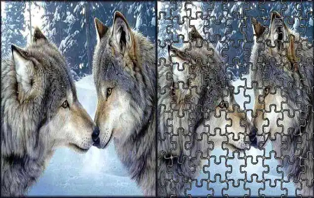 Play Jigsaw Wild Animals Puzzle