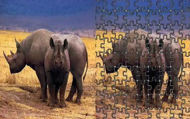 Play Jigsaw Wild Animals Puzzle