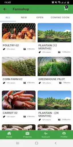 Play JoshFarm as an online game JoshFarm with UptoPlay