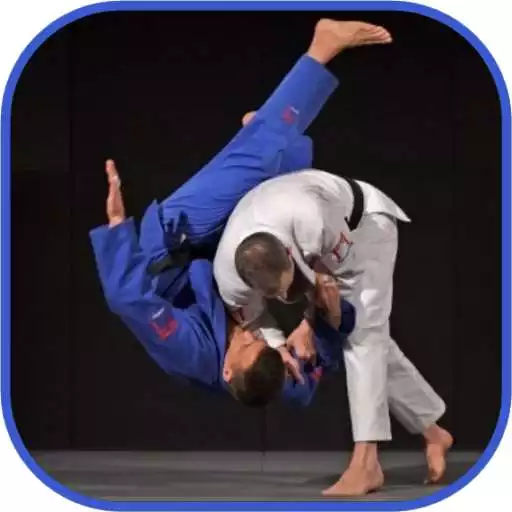 Free play online Judo in brief APK