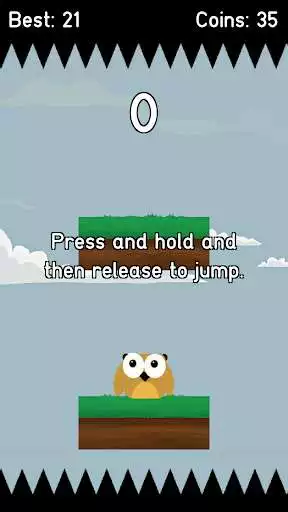 Play Jumping Owl