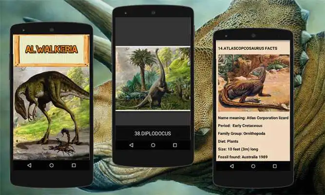 Play Jungle Dinosaur Cards and Game