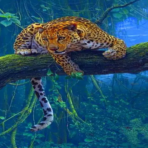 Play Jungle Leopard Live Wallpaper APK