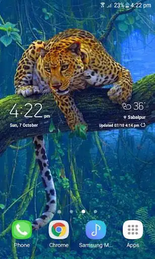 Play Jungle Leopard Live Wallpaper  and enjoy Jungle Leopard Live Wallpaper with UptoPlay