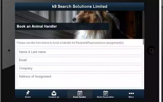 Play k9 Search Solutions Limited