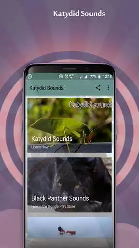 Play Katydid Sounds  and enjoy Katydid Sounds with UptoPlay