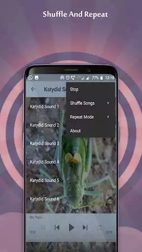 Play Katydid Sounds as an online game Katydid Sounds with UptoPlay