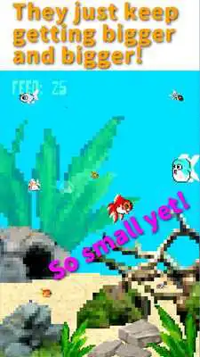 Play Kawaii Kingyo (Goldfish)